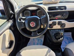 
Fiat Panda full									